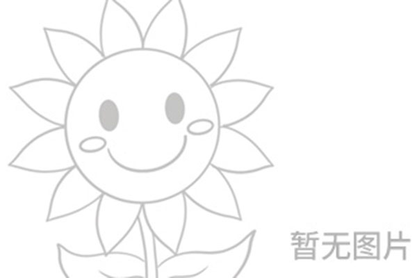 网站权重被降当务之急该干什么